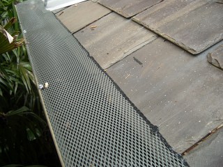 Gutter guard in Stamping Ground