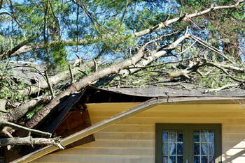 Storm Damage in Winchester, Kentucky by A1 Roofing & Home Improvement